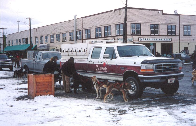 Photo of the 2000 Yukon Quest World's Strongest Sled Dog Team