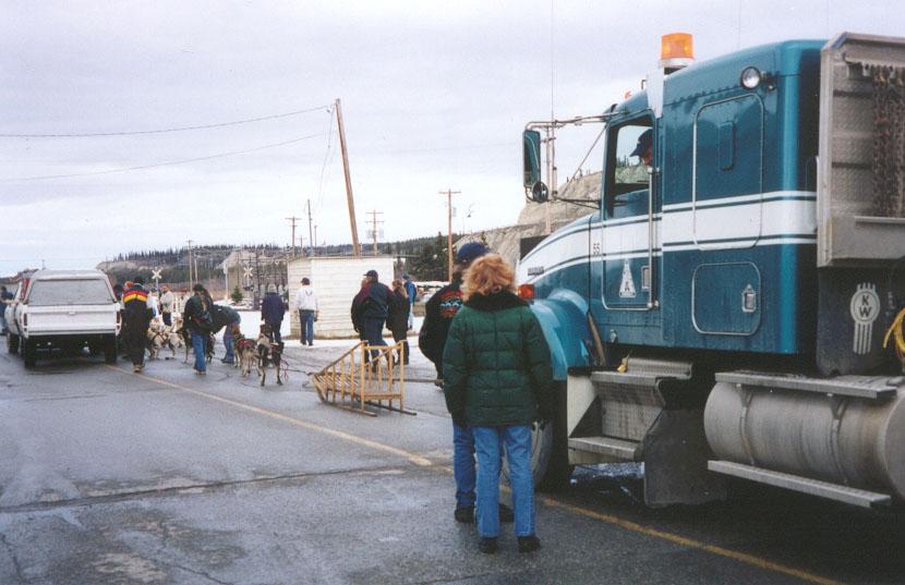 Photo of the 2000 Yukon Quest World's Strongest Sled Dog Team