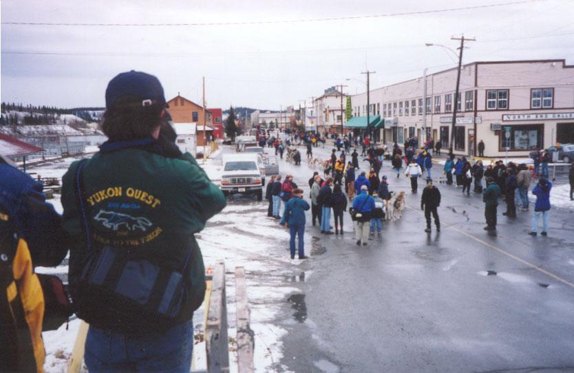 Photo of the 2000 Yukon Quest World's Strongest Sled Dog Team
