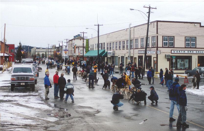 Photo of the 2000 Yukon Quest World's Strongest Sled Dog Team