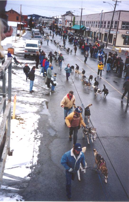 Photo of the 2000 Yukon Quest World's Strongest Sled Dog Team