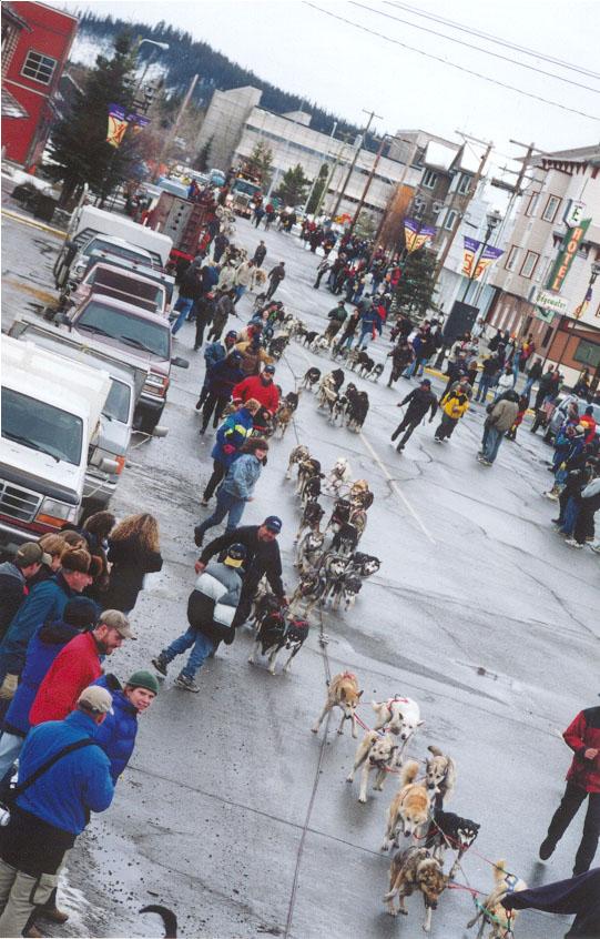 Photo of the 2000 Yukon Quest World's Strongest Sled Dog Team