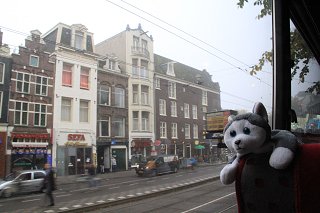 Nanook on a bus tour of Amsterdam, Netherlands