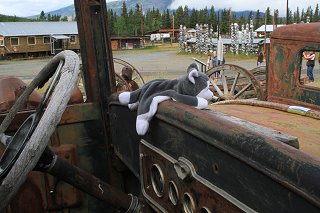 Nanook at the village of Champagne, Yukon