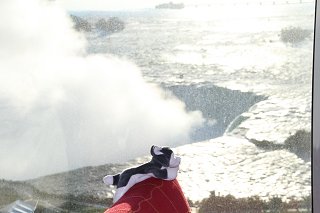 Nanook looking down on Niagara's Horseshoe Falls from his room at the Marriott Fallsview Hotel