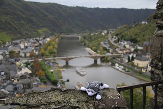 Nanook at Reichsburg Castle at Cochem, Germany