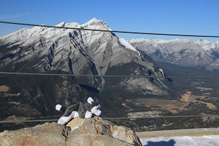 Nanook at the summit of Sanson Peak at Banff, Alberta