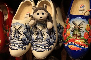 Nanook checking out the wooden shoes at Zaanse Schans, Netherlands